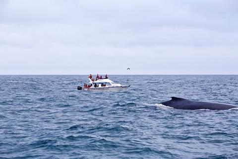 Puerto López Ecuador